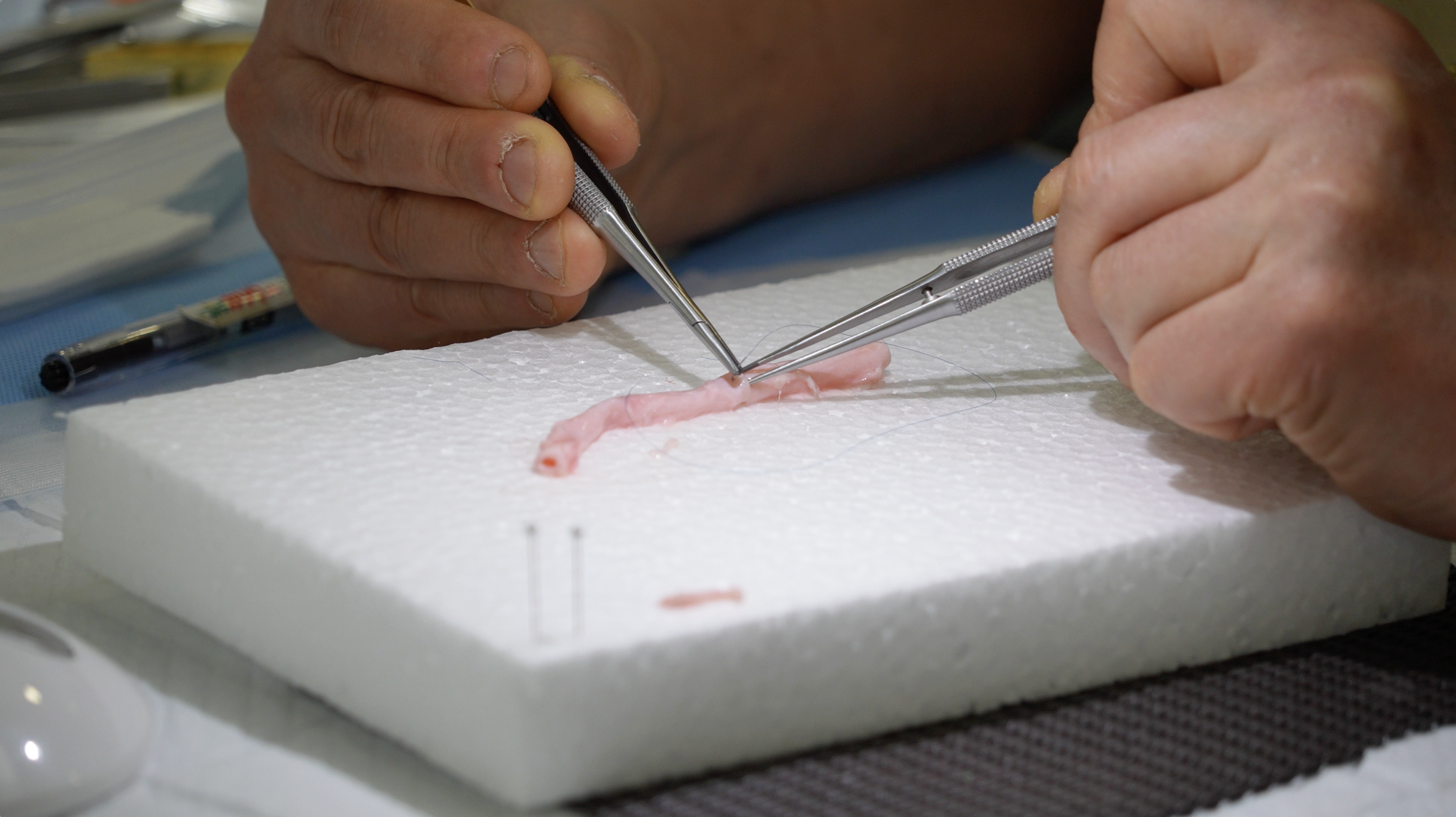 ラーニングサポート